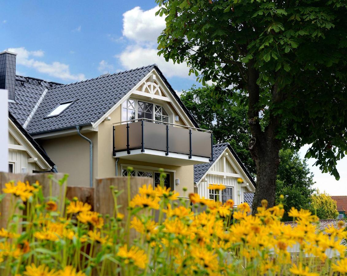 Neue Reihe 28 - Wohnung Vogelnest Zingst Eksteriør billede